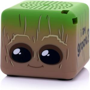 BITTYBOX-GROOT-10